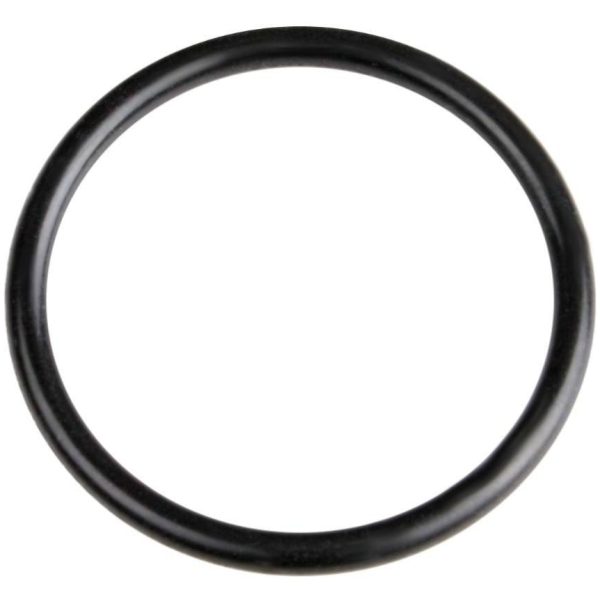 LX Whirlpool 2" pump union o-ring