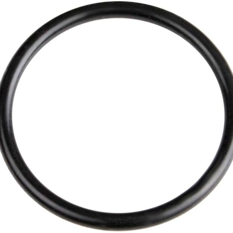 LX Whirlpool 2" pump union o-ring